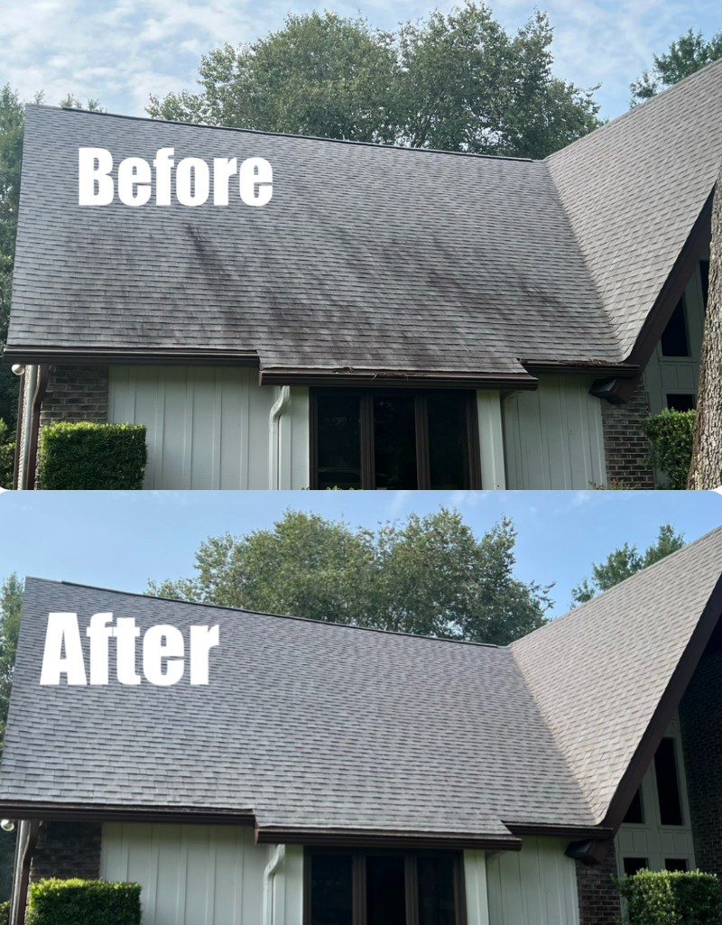 Safe and Effective Roof Soft Wash in Pensacola Florida