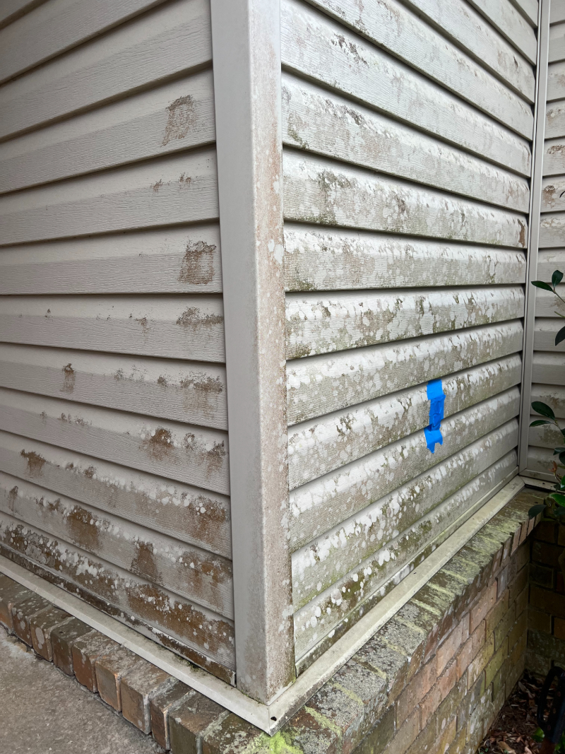 Vinyl Siding Soft Wash in Cantonment Florida