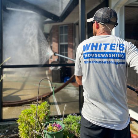 Screened Enclosure Cleaning