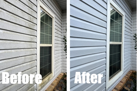 Vinyl Siding Cleaning