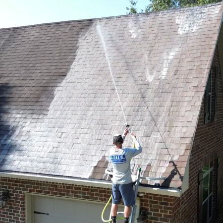Roof Cleaning